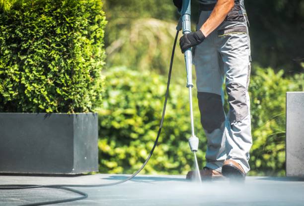 Solar Panel Cleaning in Edgewood, IN